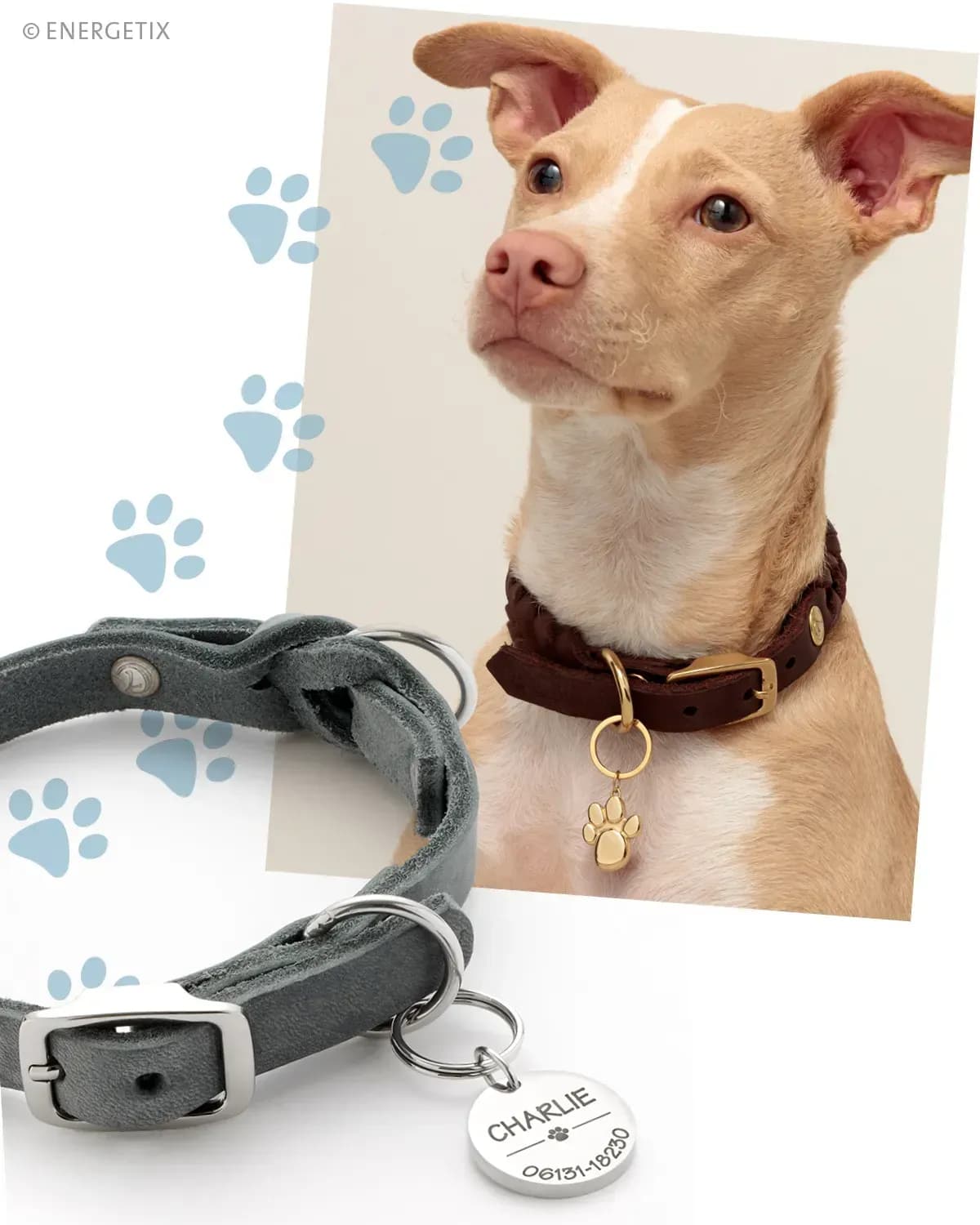 Einzigartiger Magnetschmuck für Tiere in Deutschland